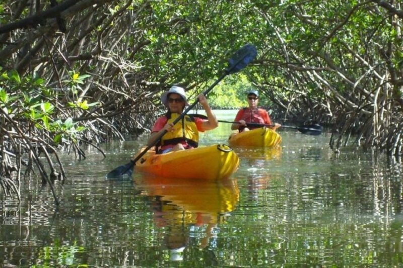 Fort Myers: Guided Kayaking Eco Tour in Pelican Bay - Final Thoughts