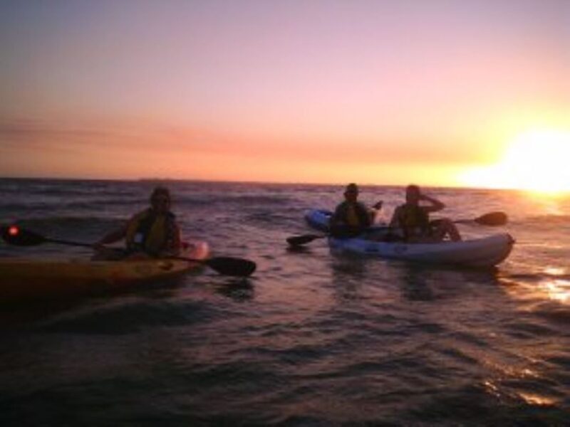 Fort Myers: Guided Sunset Kayaking Tour through Pelican Bay - Who Will Love This Tour?