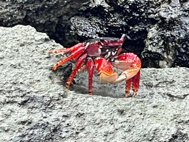 Fort Pierce: 2-Hour Prehistoric Preserve Kayak Tour - The Sum Up