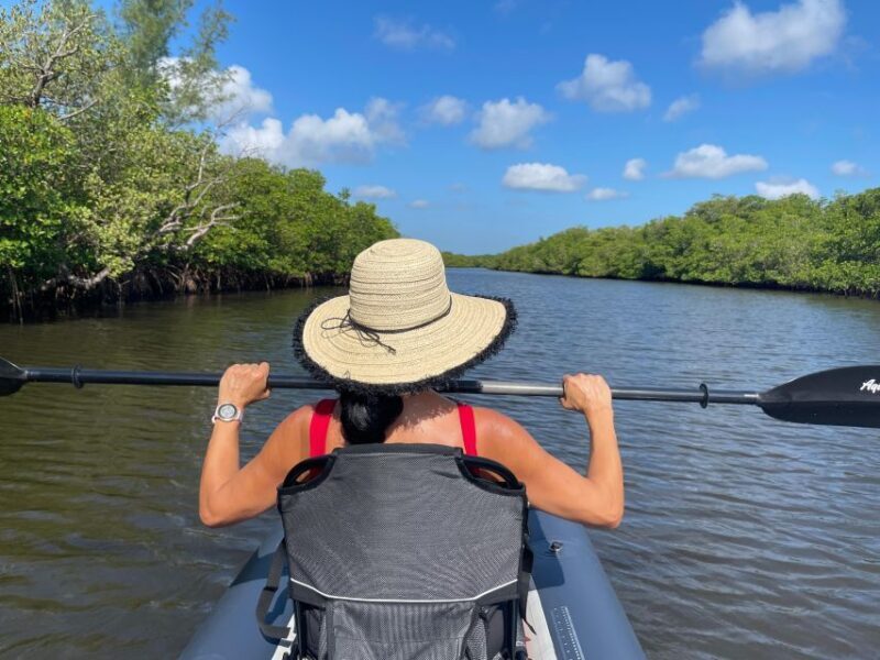 Fort Pierce: 4-hr Mangroves & Dolphin Watch Sandbar in FL - Fort Pierce: 4-hr Mangroves & Dolphin Watch Sandbar in FL — A Detailed Review