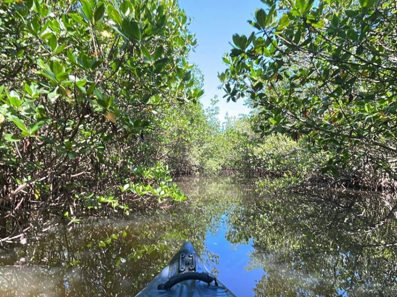 Fort Pierce: 4-hr Mangroves & Dolphin Watch Sandbar in FL - FAQ
