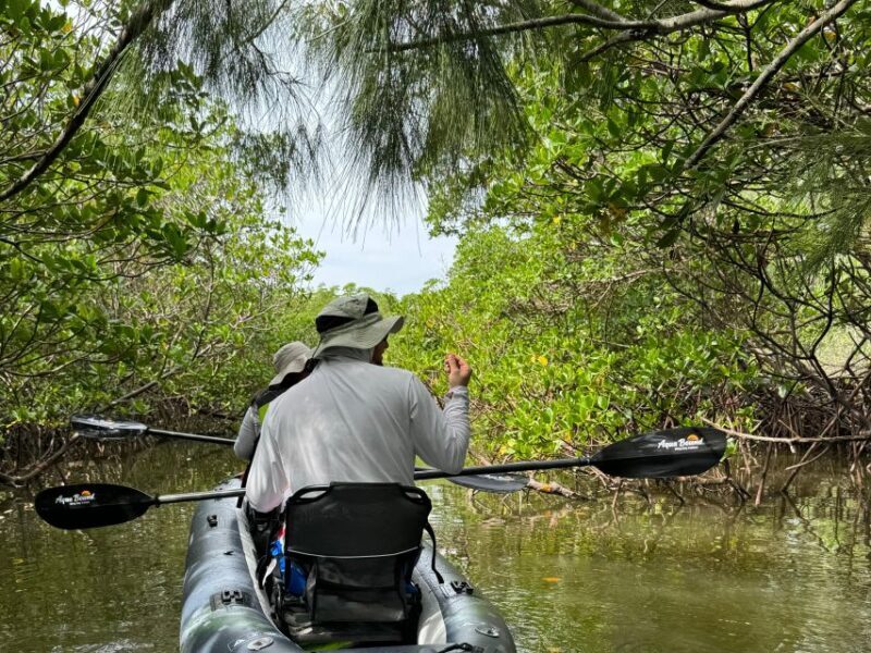 Fort Pierce: 6-hr Mangroves, Coastal Rivers & Wildlife in FL - FAQs