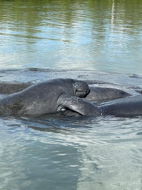 Fort Pierce: 8-hr Jungle and Lagoon passage to Ocean in FL - A Deep Dive Into the Fort Pierce Jungle and Lagoon Tour