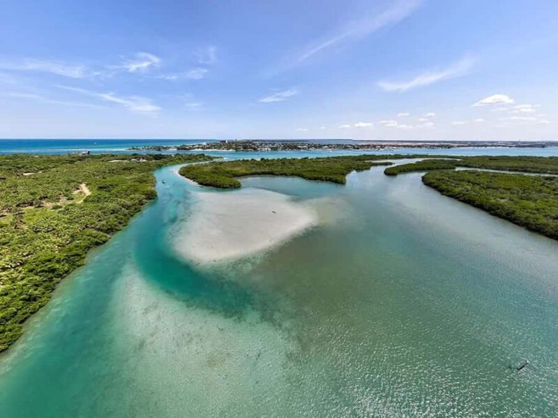 Fort Pierce: Clear Kayak Tour with Wildlife Sightings - Exploring the Indian River Lagoon on a Clear Kayak in Fort Pierce
