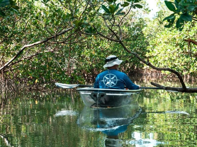 Fort Pierce: Clear Kayak Tour with Wildlife Sightings - Who Will Love This Tour?