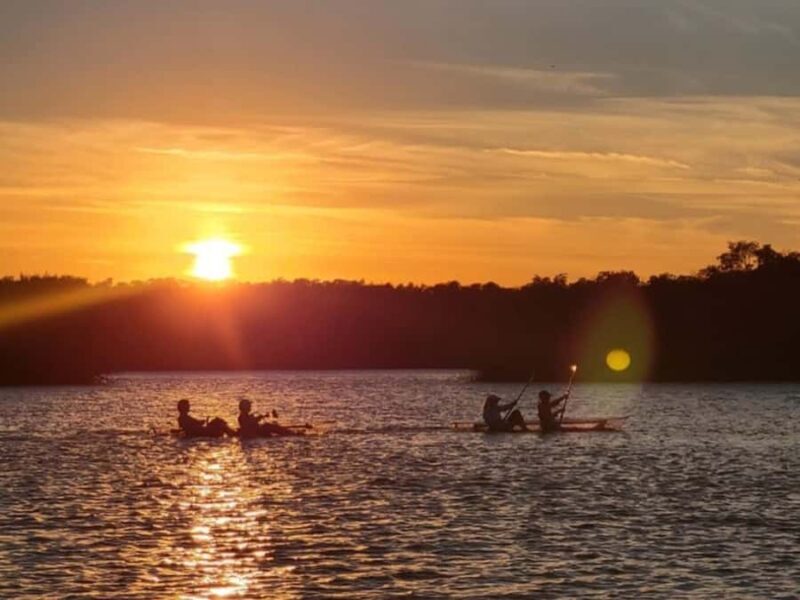 Fort Pierce: Clear Kayak Tour with Wildlife Sightings - The Sum Up