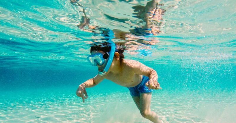 Fort Walton Beach: Morning Dolphin Cruise with Snorkel Stop - Frequently Asked Questions