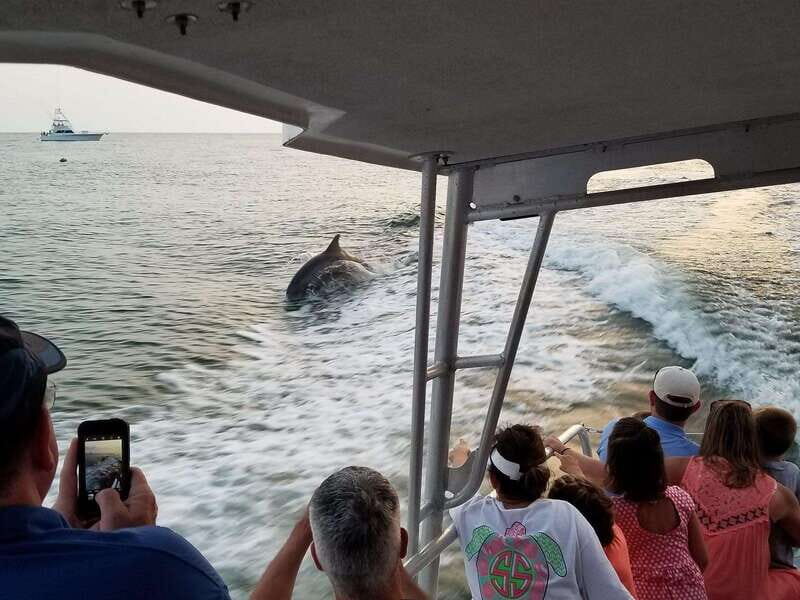 Fort Walton: Dolphin Discovery and Snorkeling Cruise - Fort Walton: Dolphin Discovery and Snorkeling Cruise