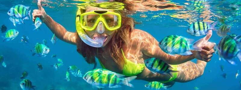 Fort Walton: Dolphin Discovery and Snorkeling Cruise - Who Should Consider This Tour?