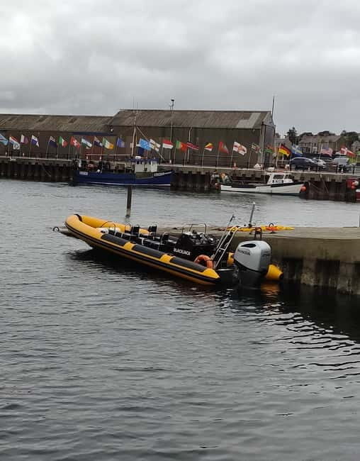 Fort William: 1hr Loch Safari Speedboat Tour - The Sum Up: Is It Worth It?
