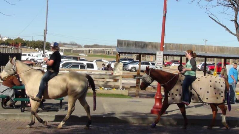 Fort Worth: Heritage and Landmarks Open-Air Tour - Key Points