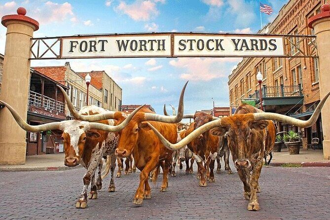 Fort Worth Highlights & Southfork Ranch Combo Tour - Key Points