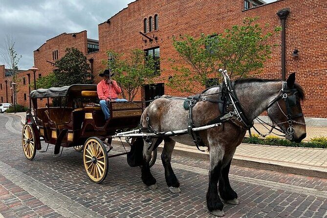 Fort Worth Highlights & Southfork Ranch Combo Tour - Final Thoughts