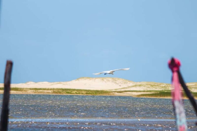 Fortaleza: Beach Trip with Pickup, Swimming, and Activities - Key Points