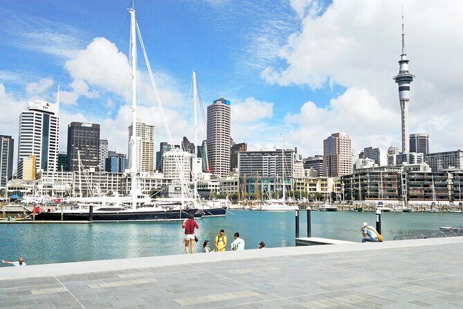 Four Hour Private Auckland Sightseeing Tour - A Deep Dive into Auckland in Four Hours
