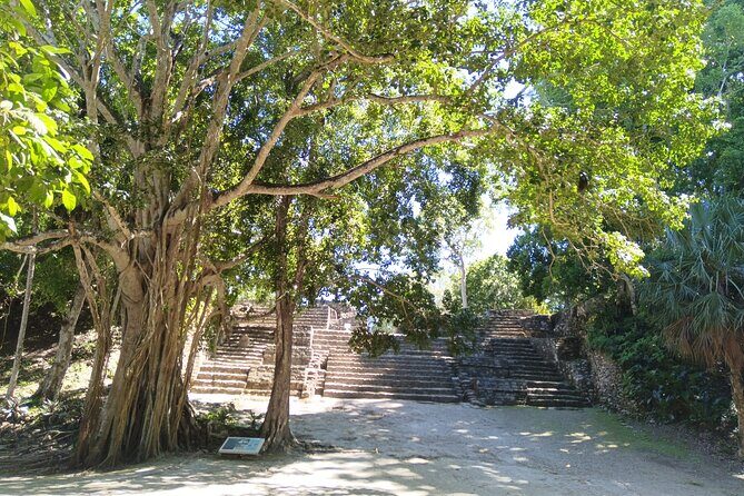 Four Hours Jungle Adventure to Mayan Ruins - Key Points