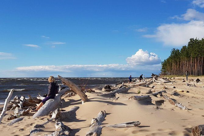 Four Natural Ecosystems In One Hike - Discover Latvia’s Natural Diversity in a Half-Day Hike