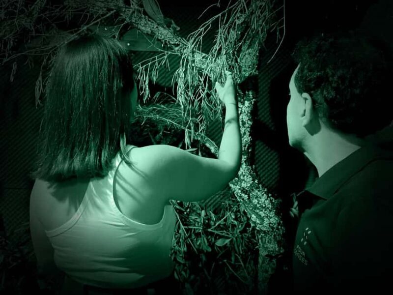 FOUR SENSES: The Immersive Experience in the Dark - Faro - What to Expect: A Step-by-Step Look