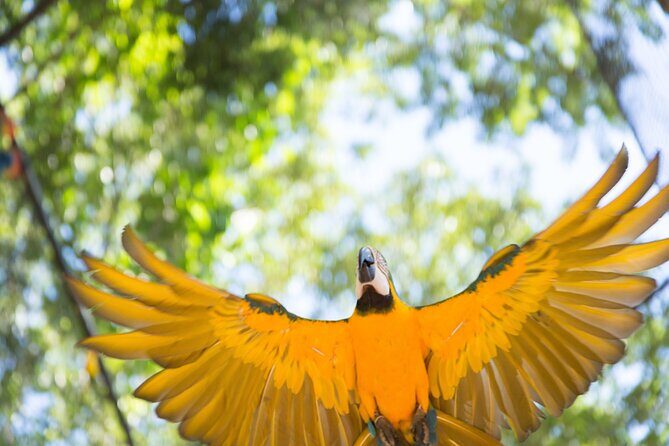 Foz do Iguaçu Airport Shared Transfer - Final Thoughts: Who Should Book This Transfer?