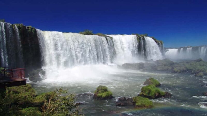 Foz do Iguaçu: Brazilian Side of the Falls + Bird Park - What to Expect on the Tour
