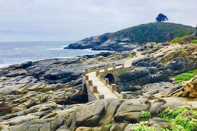 Fr STGO: WILD PENGUINS, SEALION, SANDBOARD, PARAGLIDING & PICNIC - Why This Tour Offers Great Value