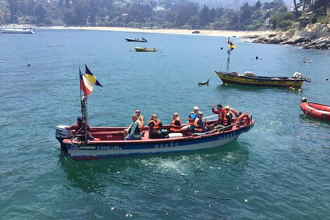 Fr VALPO: WILD PENGUINS, SEALION, SANDBOARD, PARAGLIDING & PICNIC - Key Points