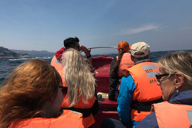 Fr VALPO: WILD PENGUINS, SEALION, SANDBOARD, PARAGLIDING & PICNIC - What Travelers Say: Authentic Perspectives