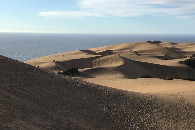 Fr VALPO: WILD PENGUINS, SEALION, SANDBOARD, PARAGLIDING & PICNIC - FAQs