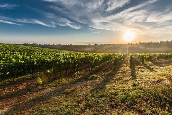 Franciacorta Wine Tasting Tour with Brescia Visit from Milan - Frequently Asked Questions