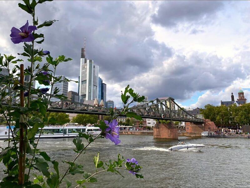 Frankfurt: Discover the heart of Frankfurt - a city tour in Russian - An In-Depth Look at the Tour Experience