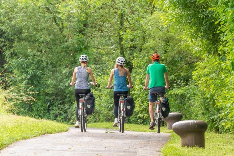 Frankfurt: Full-Day Bicycle or E-Bike Rental - The Sum Up: Who Is This Bike Rental Perfect For?