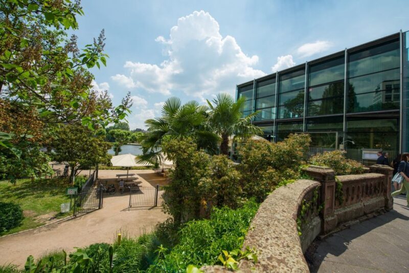 Frankfurt: Guided walk between palm trees and skyline - Key Points