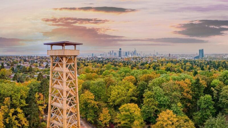 Frankfurt: RheinMainCard - Unlimited RMV Transportation - Frequently Asked Questions