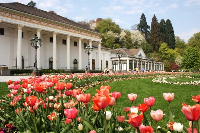 Frankfurt to Black Forest, Baden-Baden, Freiburg and by Car - Key Points