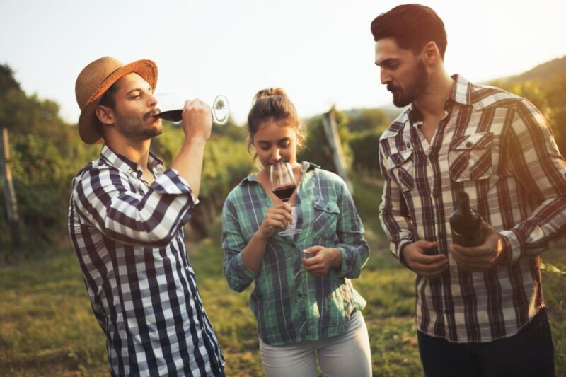 Frankfurt Wine Tasting Tour with a Wine Expert - Practical Considerations