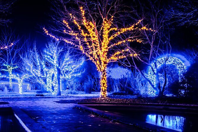 Franklins Festive Lights Spectacular A Christmas Wonderland Tour - Key Points