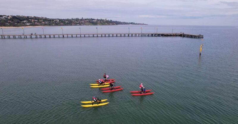 Frankston: Port Phillip Bay Water Bike Tour - What to Expect and Practical Details