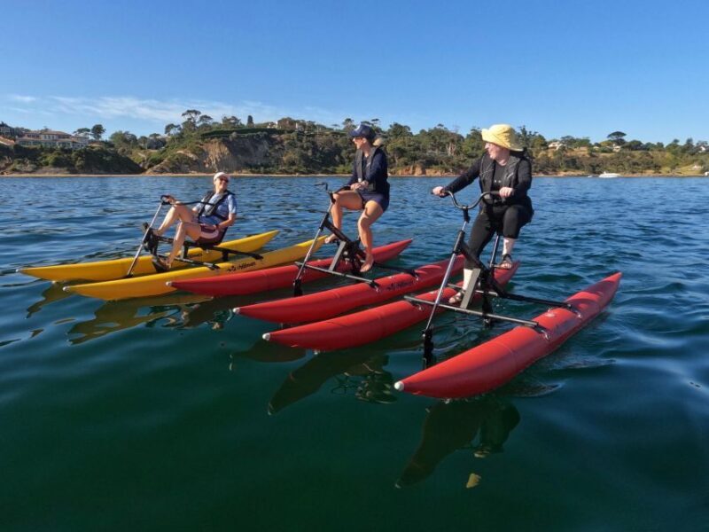 Frankston: Port Phillip Bay Water Bike Tour - Final Thoughts: Who Will Love This Experience?