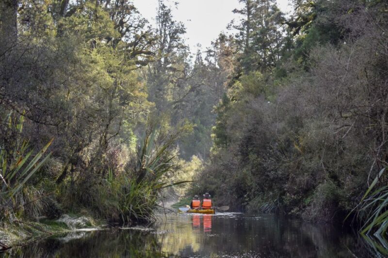 Franz Josef: 3-Hour Kayak Tour on Lake Mapourika - In-Depth Review: Navigating the Lake and Its Wonders