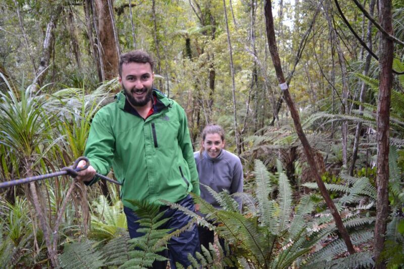 Franz Josef: Kayak & Walking Tour to Okarito Kiwi Sanctuary - Final Thoughts