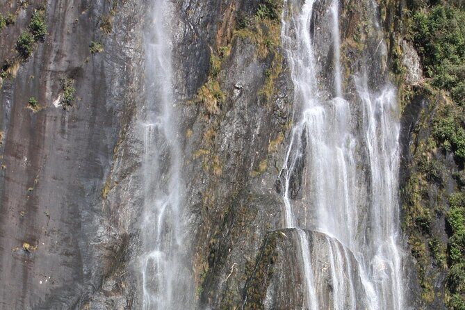 Franz Josef Nature Tour - The Sum Up