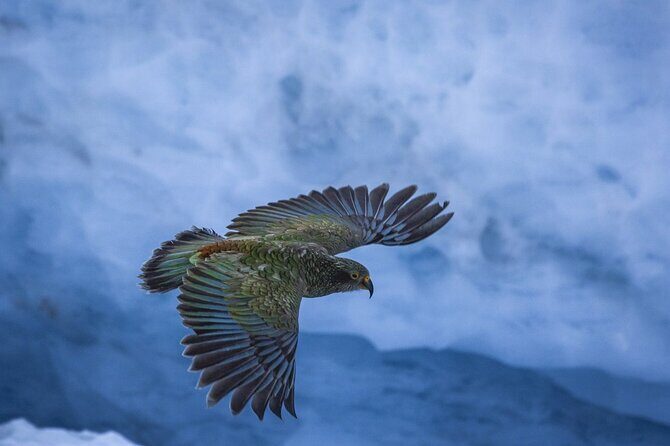 Franz Josef to Christchurch 1-Way Small Group Tour via Hokitika - Authentic Experiences and Authentic Insights