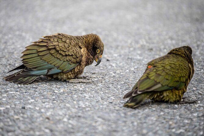 Franz Josef to Christchurch via Hokitika (1 way) - FAQ