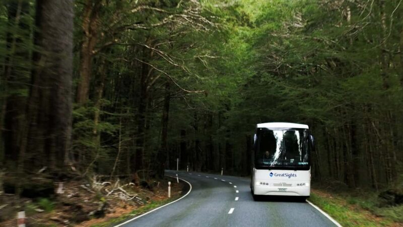 Franz Josef to Queenstown Day Tour - Key Points