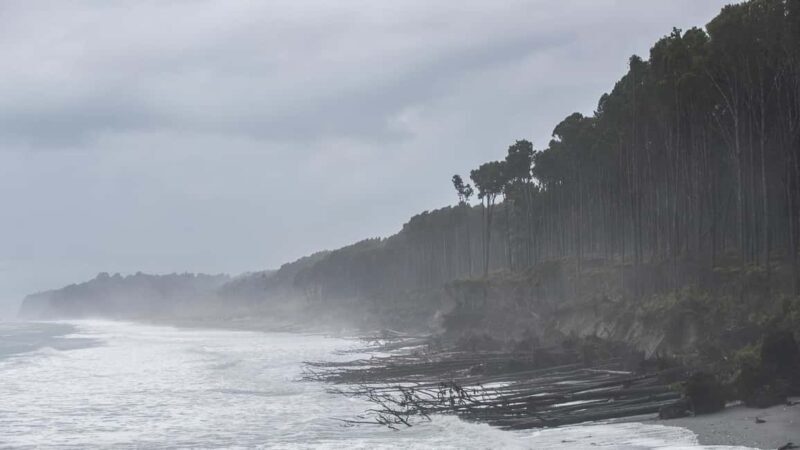 Franz Josef to Queenstown Day Tour - Why This Tour Offers Good Value