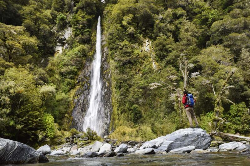 Franz Josef: to Wanaka Small Group 1 Way Tour with Lunch - Key Points