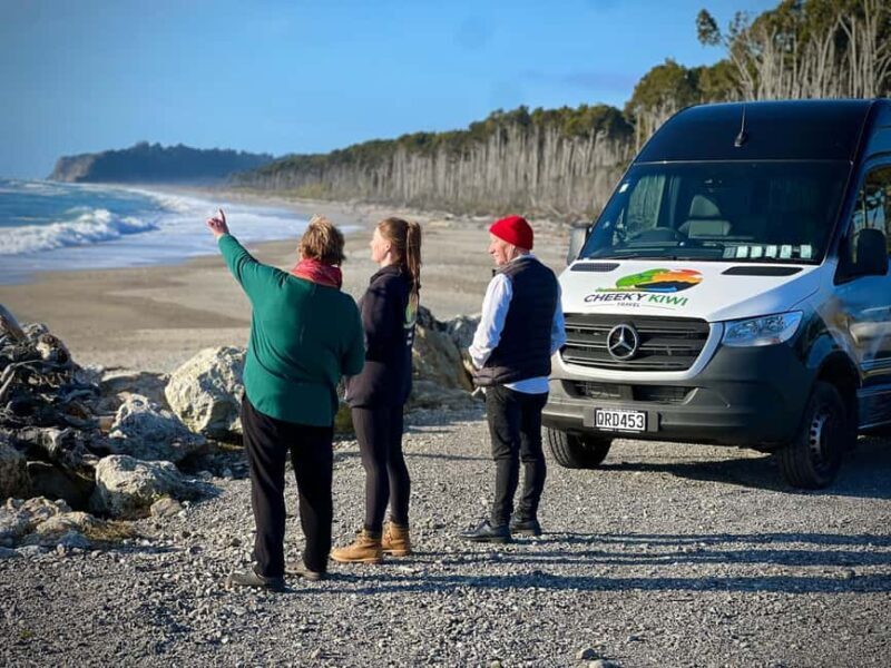 Franz Josef: to Wanaka Small Group 1 Way Tour with Lunch - An Honest Look at the Drawbacks