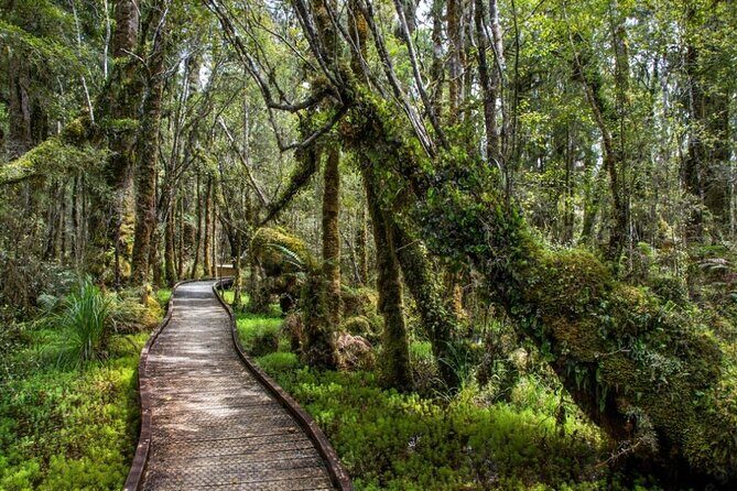 Franz Josef to Wanaka Small-Group Tour (One-Way) Includes Lunch - A Deep Dive into the Itinerary: What to Expect
