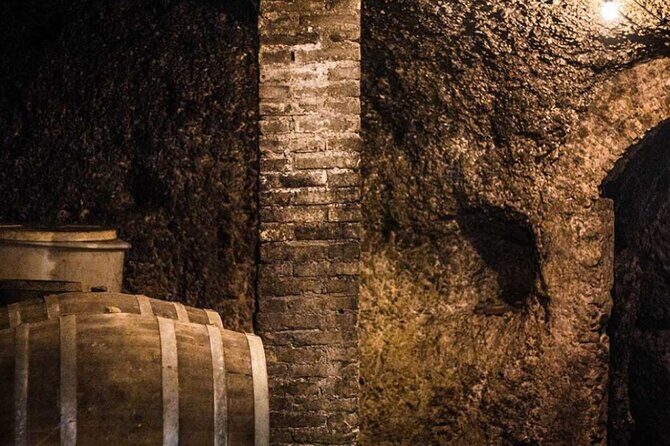 Frascati Day Tour: Road from Rome with Wine Tasting & Lunch - What Makes This Tour Stand Out?