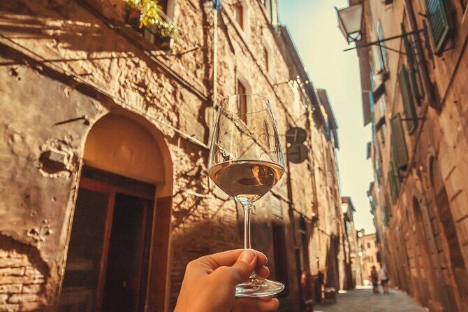 Frascati Day Tour: Road from Rome with Wine Tasting & Lunch - Who Should Consider This Tour?